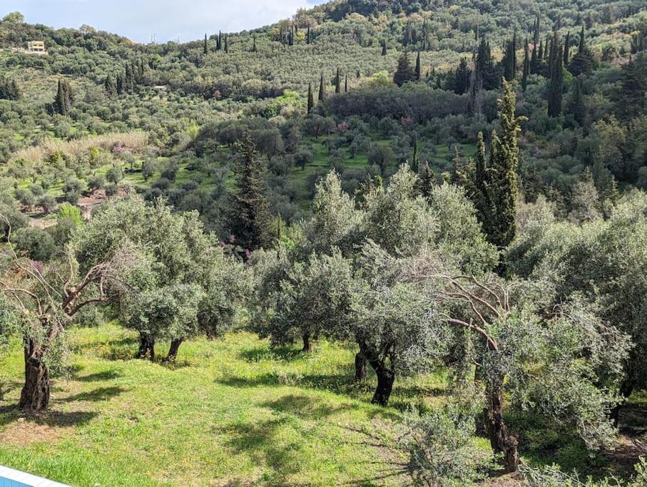 Strongyli  Villa Eleonas מראה חיצוני תמונה