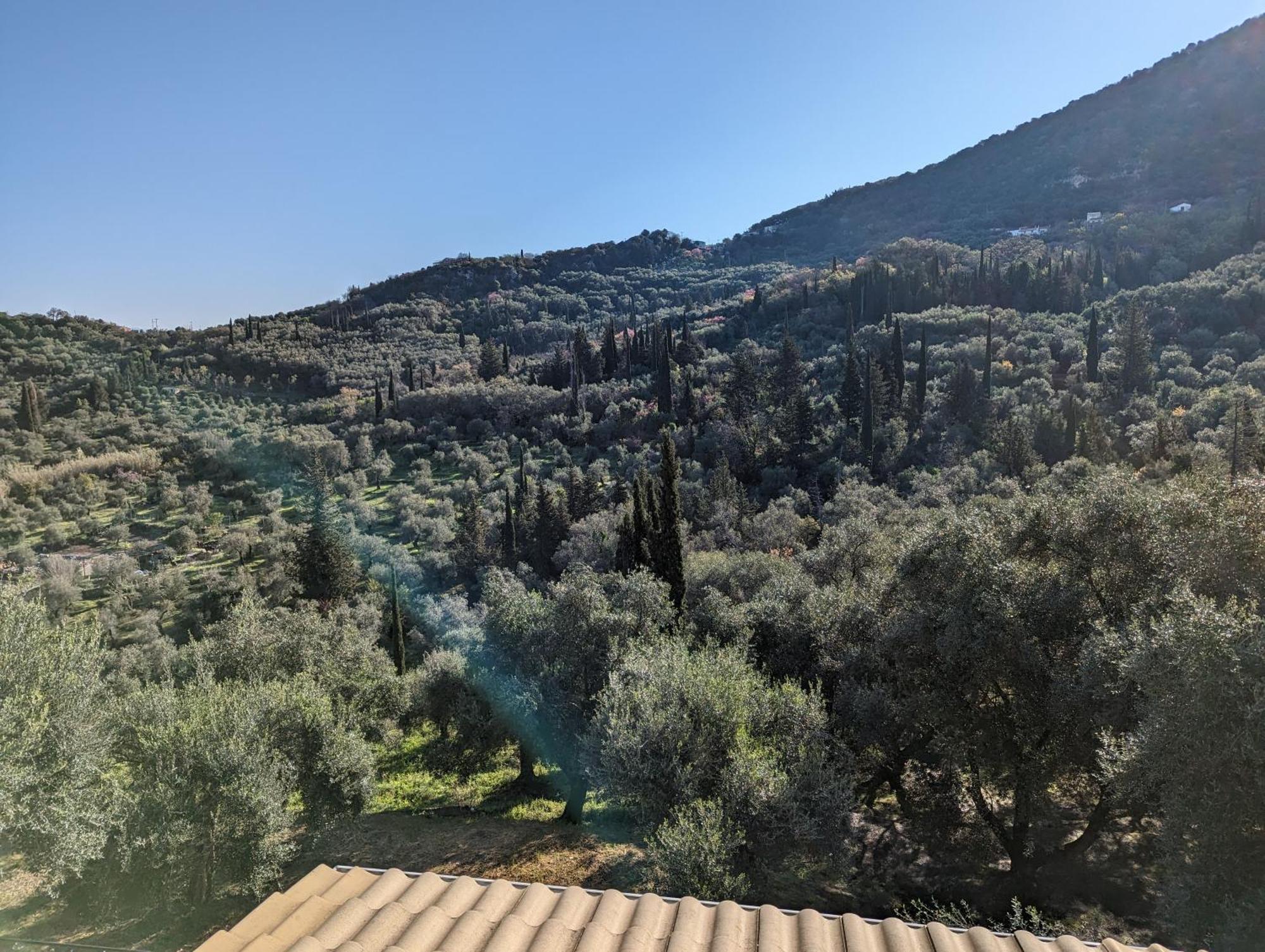 Strongyli  Villa Eleonas מראה חיצוני תמונה